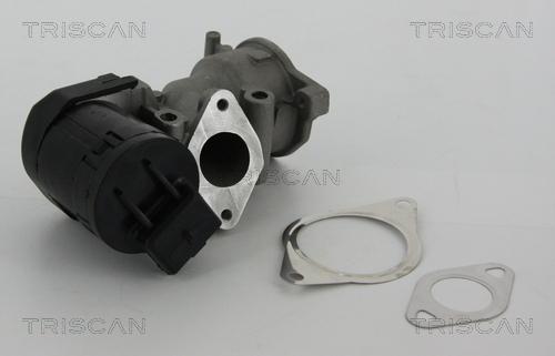 Triscan 8813 10001 - AGR-szelep parts5.com