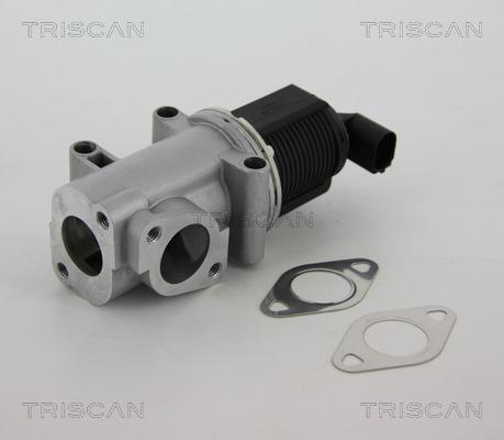 Triscan 8813 10015 - AGR-szelep parts5.com