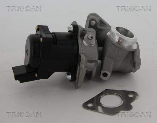 Triscan 8813 10010 - Supapa EGR parts5.com