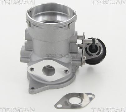 Triscan 8813 29056 - EGR Valve parts5.com