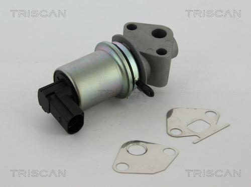 Triscan 8813 29004 - EGR Valve parts5.com