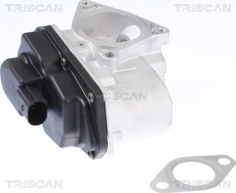 Triscan 8813 29003 - Zawór AGR parts5.com