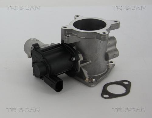 Triscan 8813 29105 - EGR Valve parts5.com