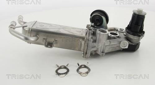 Triscan 8813 29325 - Supapa EGR parts5.com