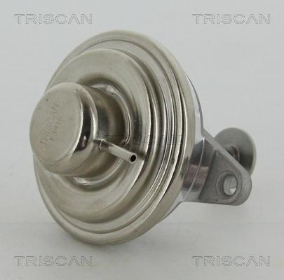 Triscan 8813 24054 - Βαλβίδα AGR parts5.com