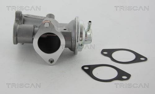 Triscan 8813 24031 - Ventil sustava za recirkulaciju ispušnih plinova parts5.com