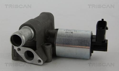 Triscan 8813 24102 - Zawór AGR parts5.com