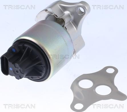 Triscan 8813 21001 - EGR Valve parts5.com