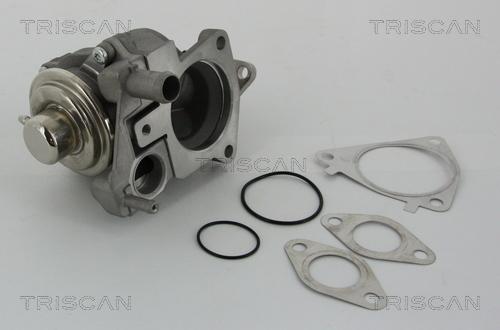 Triscan 8813 28019 - EGR-klapp parts5.com