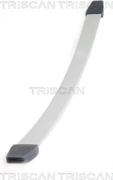 Triscan 8765 10003 - Pachet arc cu foi parts5.com