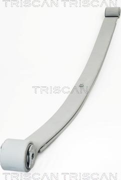 Triscan 8765 10007 - Комплект пружини parts5.com