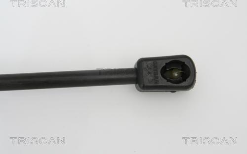 Triscan 8710 16239 - Amortizor portbagaj parts5.com