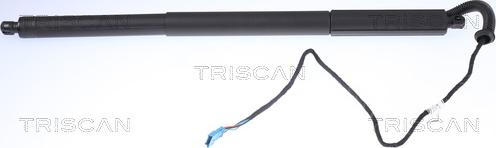 Triscan 8710 11306 - Plinska opruga, prtljažnik / teretni prostor parts5.com