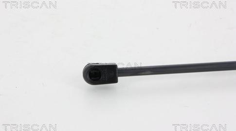 Triscan 8710 29294 - Amortizor portbagaj parts5.com