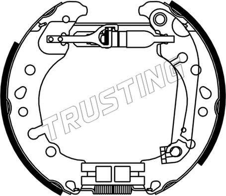 Trusting 653.0 - Set saboti frana parts5.com