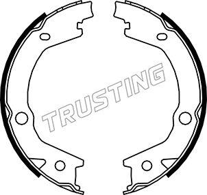 Trusting 046.220 - Brake Shoe Set, parking brake parts5.com