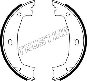 Trusting 019.028 - Juego de zapatas de frenos, freno de estacionamiento parts5.com