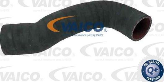 VAICO V95-0351 - Furtun ear supraalimentare parts5.com