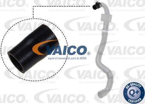 VAICO V46-0827 - Şarj havası hortumu parts5.com