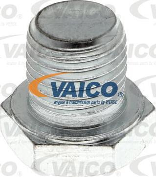 VAICO V40-0750 - Zárócsavar, olajteknő parts5.com