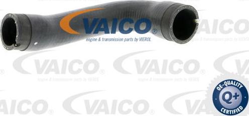 VAICO V40-1356 - Şarj havası hortumu parts5.com