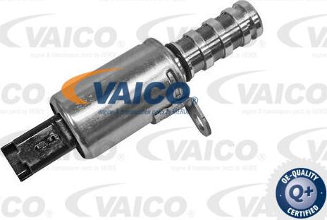 VAICO V42-0629 - Steuerventil, Nockenwellenverstellung parts5.com