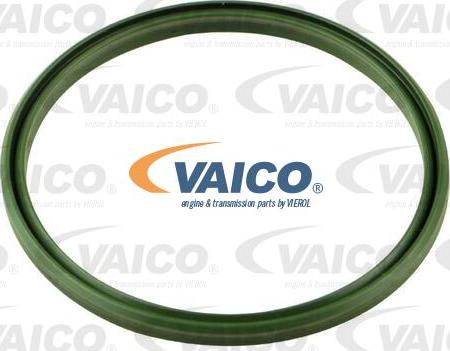 VAICO V10-4452 - Conta, şarj havası hortumu parts5.com