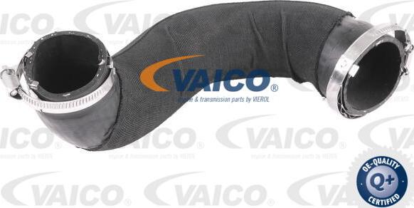 VAICO V10-4798 - Въздуховод за турбината parts5.com