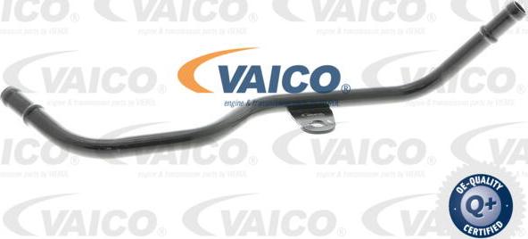 VAICO V10-4789 - Furtun, alimentare aer parts5.com