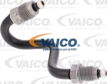 VAICO V10-6519 - Kočioni vod parts5.com