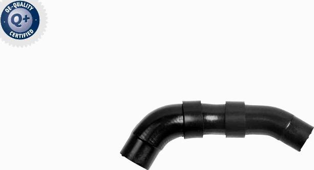 VAICO V10-8869 - Radiator Hose parts5.com