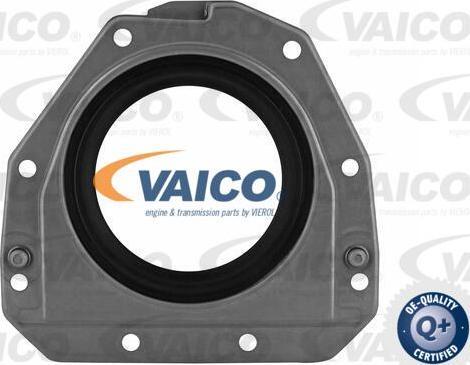 VAICO V10-3685 - Уплотняющее кольцо, коленчатый вал parts5.com