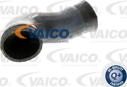 VAICO V10-2924 - Crijevo zraka punjenja parts5.com