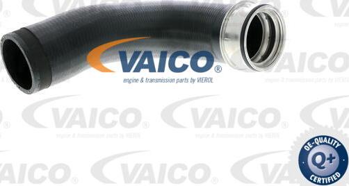 VAICO V10-2699 - Tubo flexible de aire de sobrealimentación parts5.com