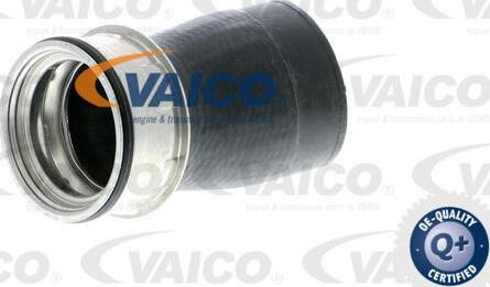 VAICO V10-2848 - Crijevo zraka punjenja parts5.com