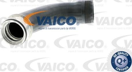 VAICO V10-2889 - Şarj havası hortumu parts5.com