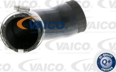 VAICO V10-2831 - Şarj havası hortumu parts5.com