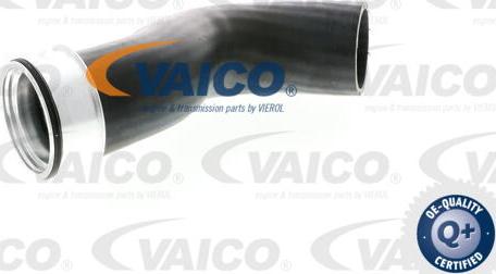 VAICO V10-2833 - Charger Intake Air Hose parts5.com