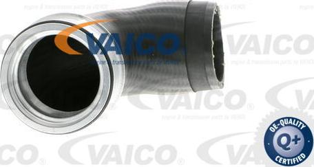 VAICO V10-2874 - Furtun ear supraalimentare parts5.com