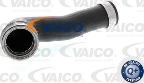 VAICO V10-2700 - Furtun ear supraalimentare parts5.com