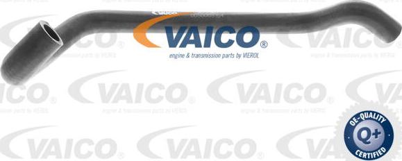 VAICO V30-2967 - Crijevo hladnjaka parts5.com