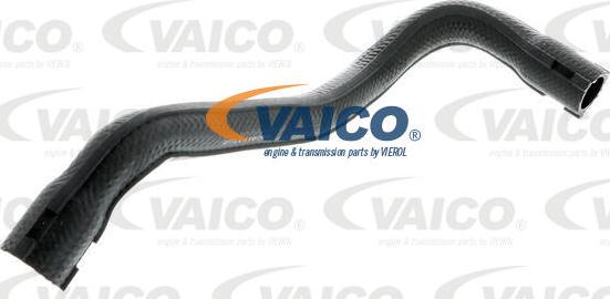 VAICO V30-2477 - Radiator Hose parts5.com