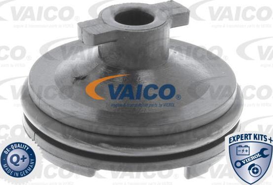 VAICO V25-1116 - Βιδωτή τάπα, λεκάνη λαδιού parts5.com