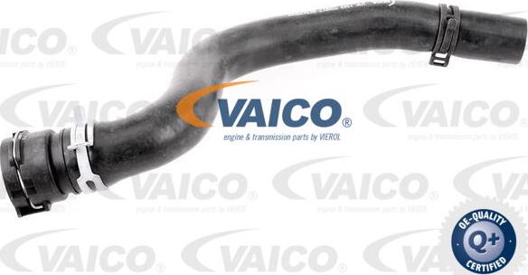 VAICO V25-1203 - Furtun radiator parts5.com