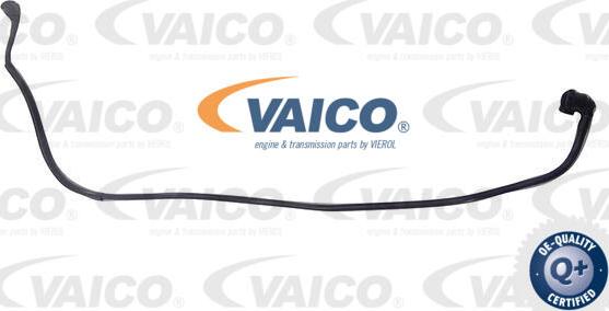 VAICO V20-4352 - Hűtőcső parts5.com