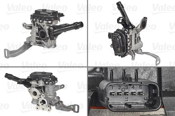 Valeo 700455 - Supapa EGR parts5.com