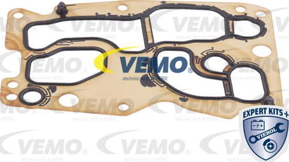 Vemo V20-60-1567 - Radiator racire ulei, cutie de viteze automata parts5.com