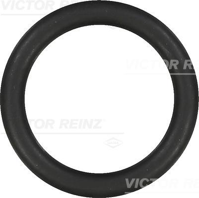 Victor Reinz 40-76919-00 - Garnitura, galerie admisie parts5.com