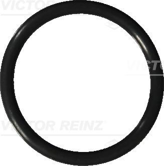 Victor Reinz 40-76041-20 - Tesniaci krúżok, vypúżżacia skrutka oleja parts5.com