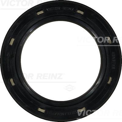 Victor Reinz 81-26248-10 - Radijalni zaptivni prsten (semering), radilica parts5.com